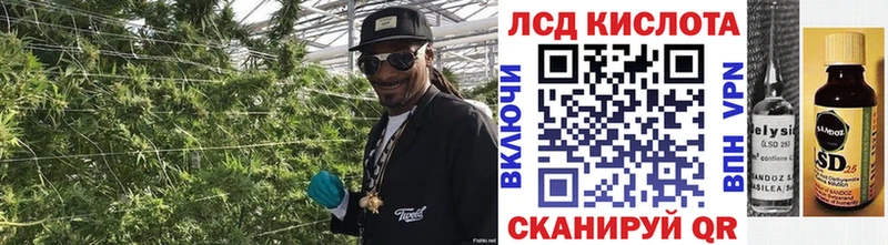 купить закладку  Кондопога  Марки N-bome 1500мкг 